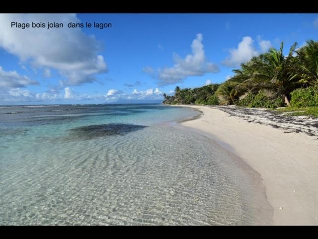Soley Bungalows Nonis 2 Pers Adult Only Sainte-Anne  Exterior foto